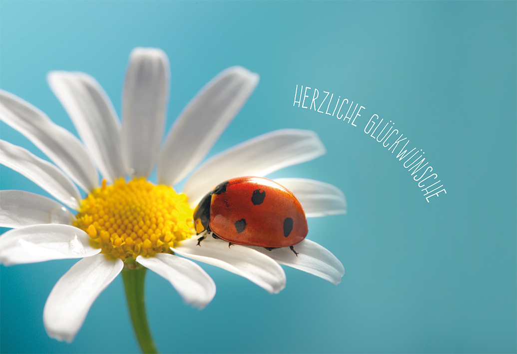 Geburtstagskarte - Strahlende, glückliche Stunden Geburtstagskarte - Strahlende, glückliche Stunden