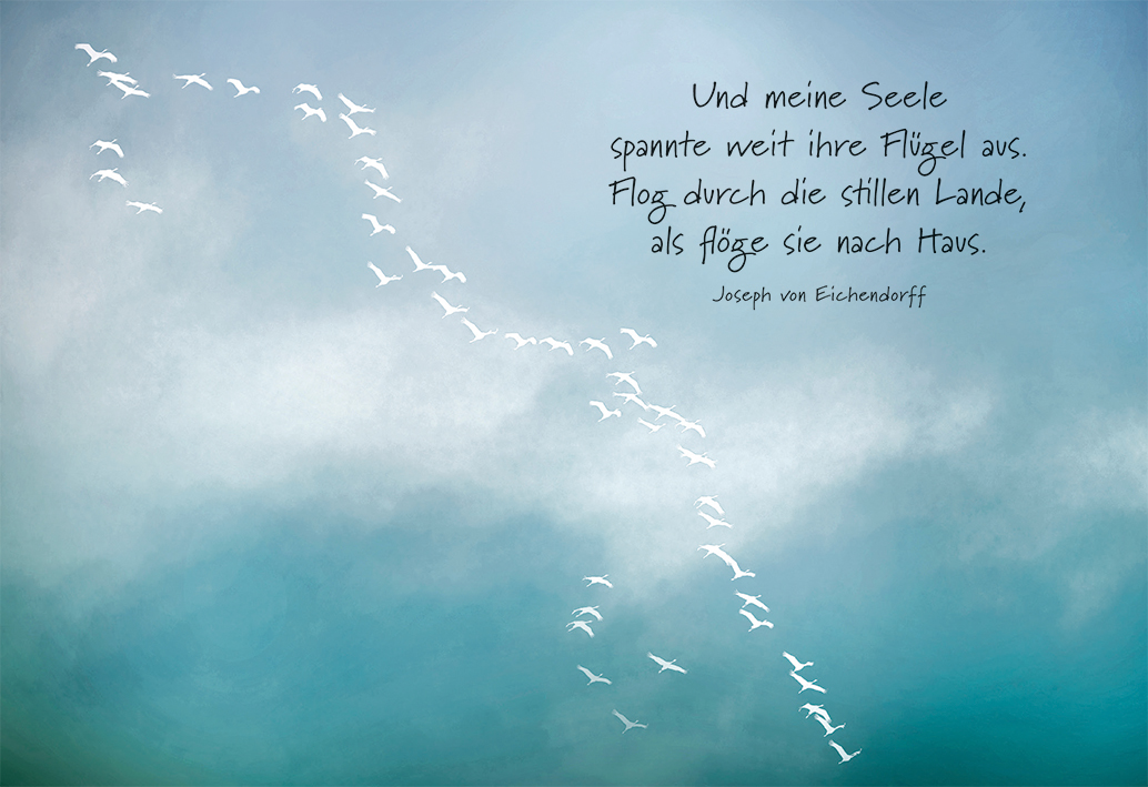 Trauerkarte - Und meine Seele spannte weit ihre Flügel...