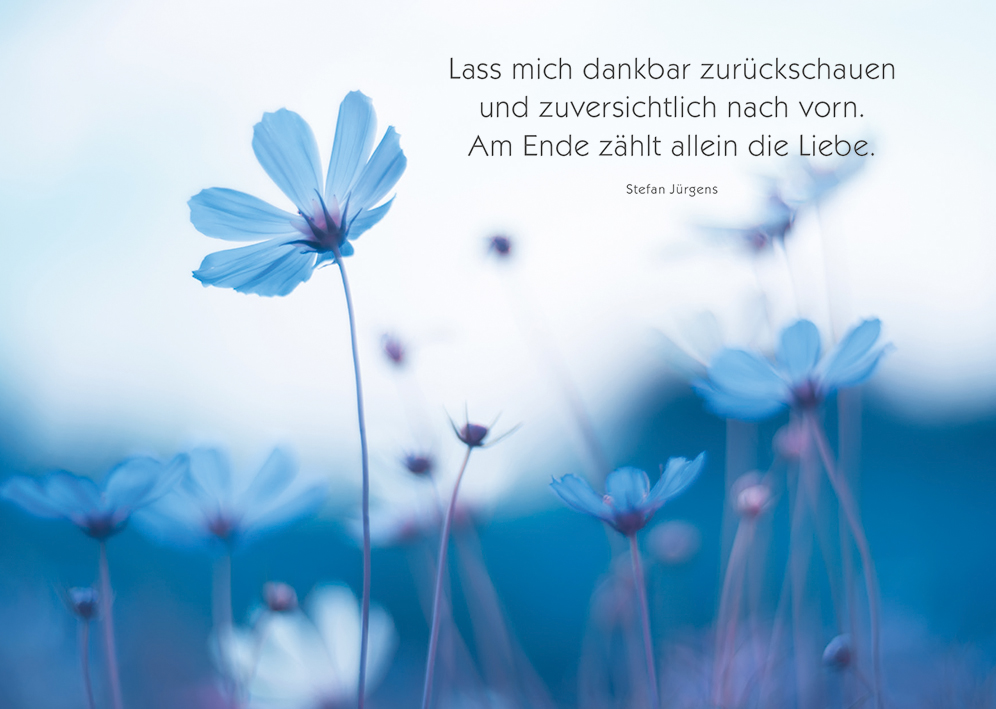 Trauerkarte - Lasst mich dankbar zurückschauen... Trauerkarte - Lasst mich dankbar zurückschauen...