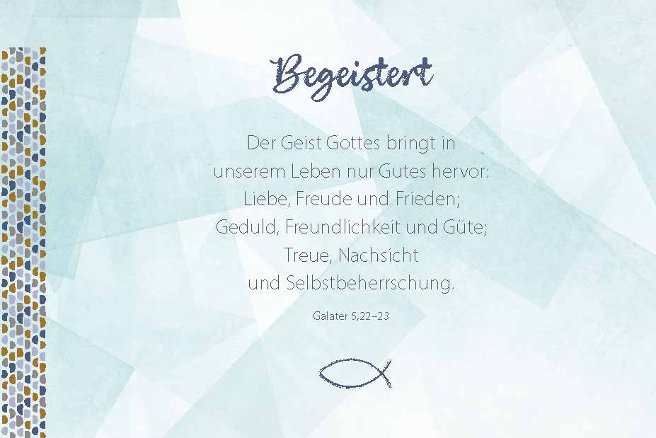 Geschenkbuch - Zur Firmung alles Gute