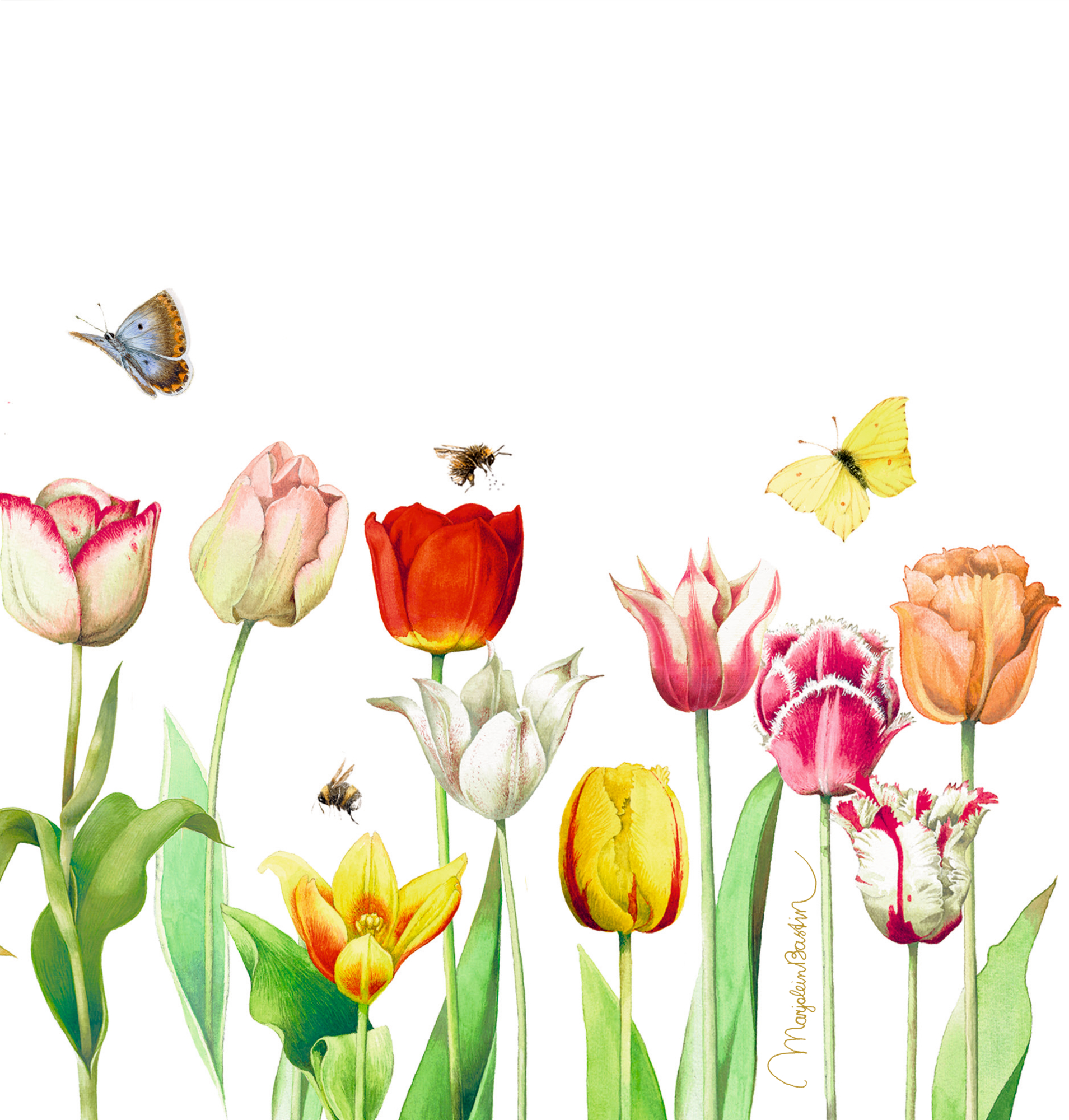 Servietten - Tulpen Servietten - Tulpen