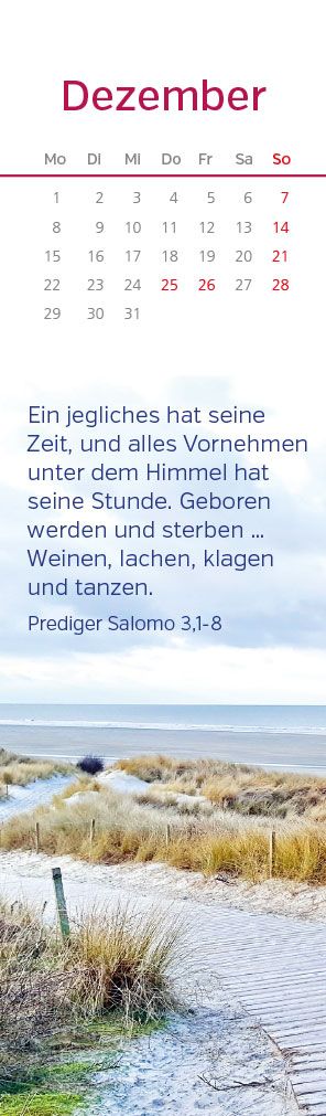 Kalender-Lesezeichen - Gedanken aus der Bibel & 2025