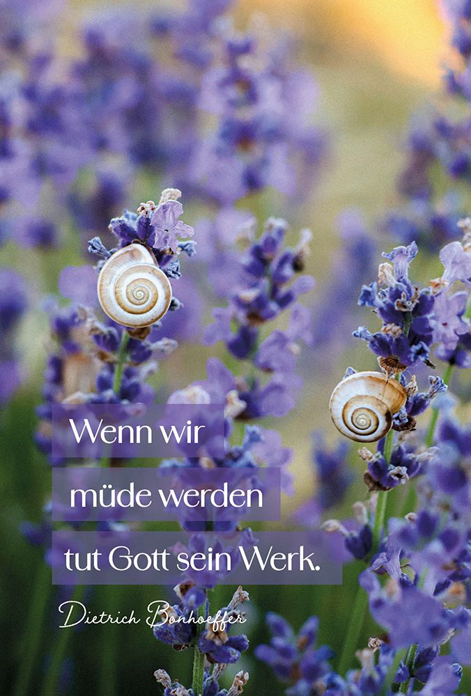 Aufstellbuch - Behütet und getröstet & Dietrich Bonhoeffer