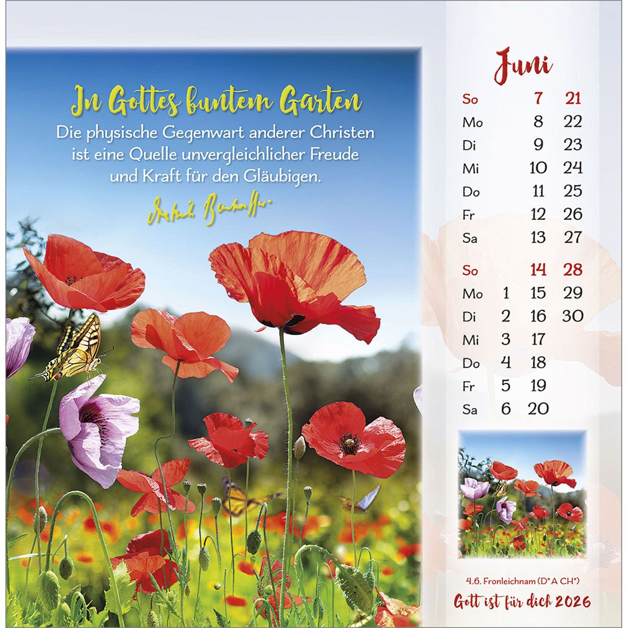 Tischkalender - Gott ist für dich & 2026