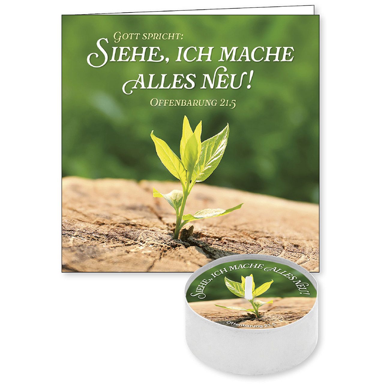 Lichtgruß - Jahreslosung 2026 Lichtgruß - Jahreslosung 2026