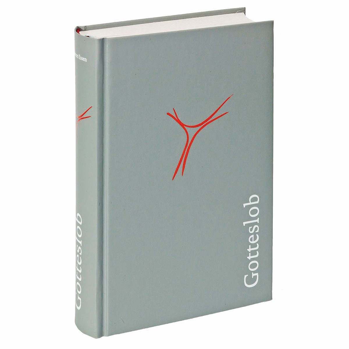 Gotteslob Bistum Würzburg Großdruck & Grau Gotteslob Bistum Würzburg Großdruck & Grau