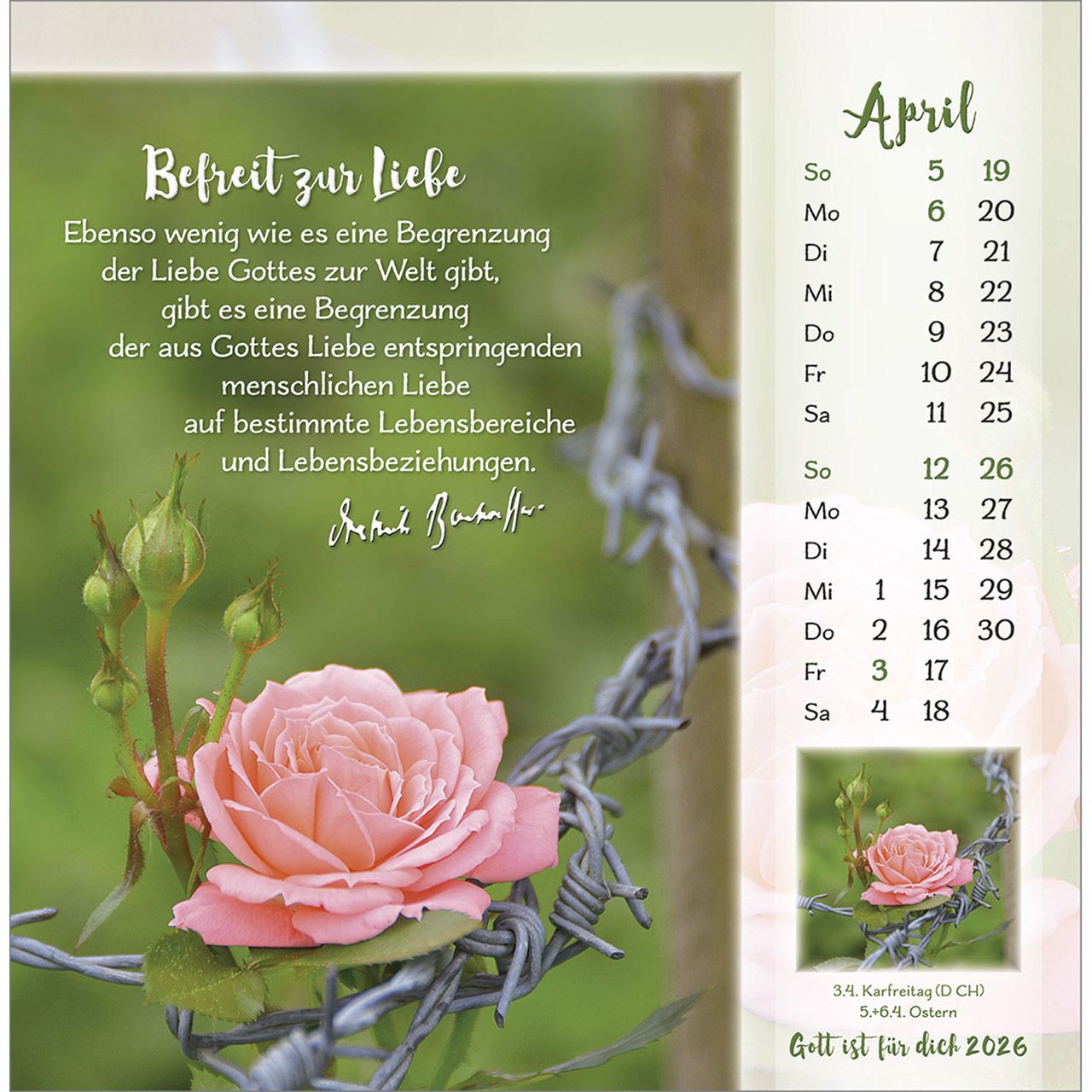 Tischkalender - Gott ist für dich & 2026