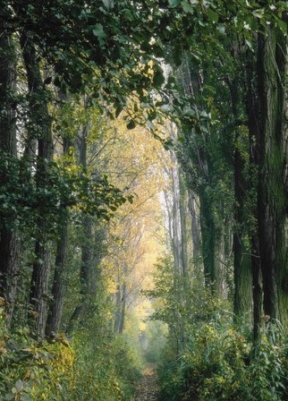 Karte zur Trauer - Auf dem Weg durch die Trauer Karte zur Trauer - Auf dem Weg durch die Trauer