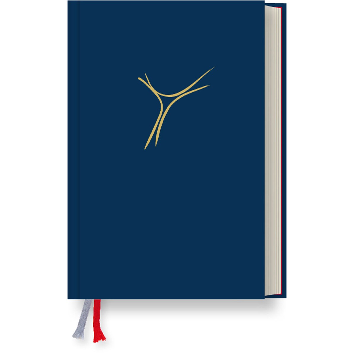 Gotteslob Bistum Passau Großdruck & Blau Gotteslob Bistum Passau Großdruck & Blau