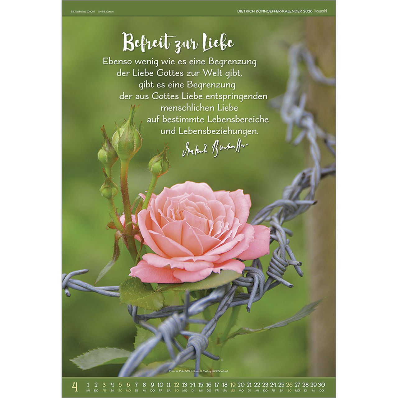 Kalender - Gott ist für uns & 2026