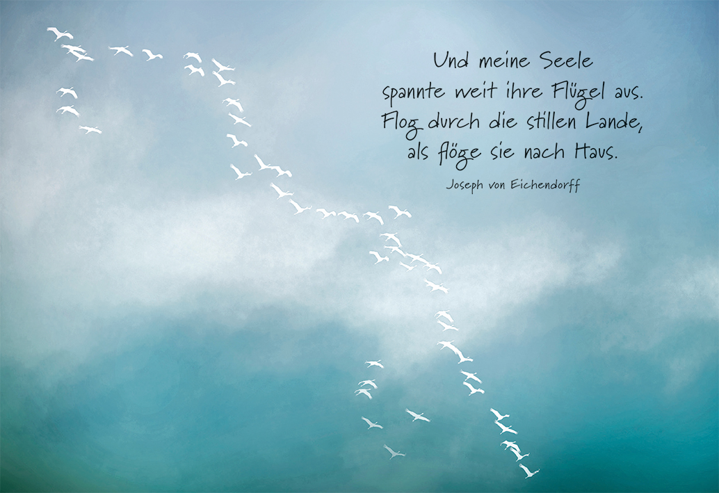 Trauerkarte - Und meine Seele spannte weit ihre Flügel... Trauerkarte - Und meine Seele spannte weit ihre Flügel...