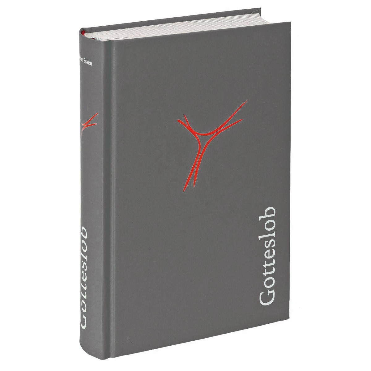 Gotteslob Bistum Hamburg, Hildesheim, Osnabrück Großdruck & Grau Gotteslob Bistum Hamburg, Hildesheim, Osnabrück Großdruck & Grau