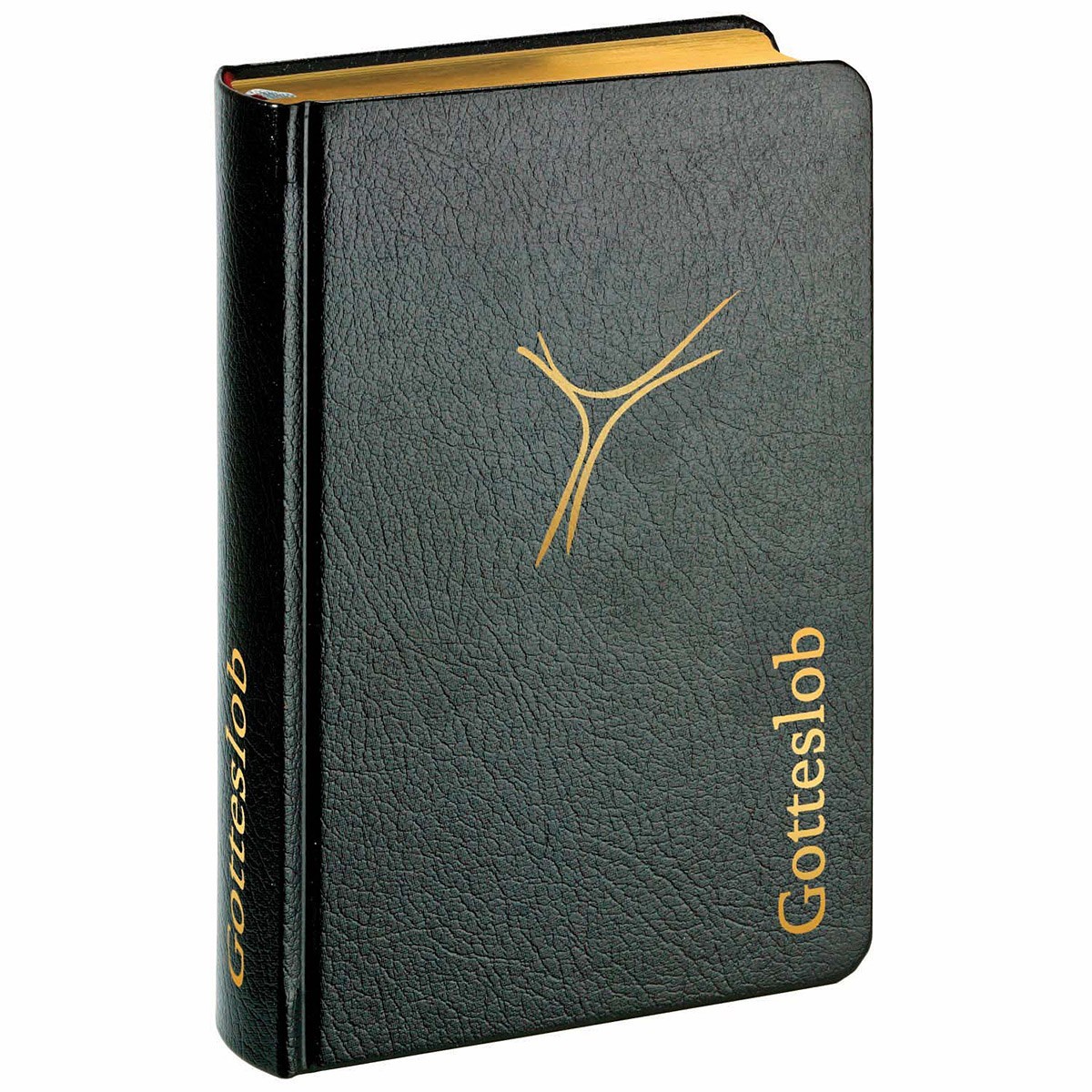 Gotteslob Bistum München & Freising Großdruck Gotteslob Bistum München & Freising Großdruck