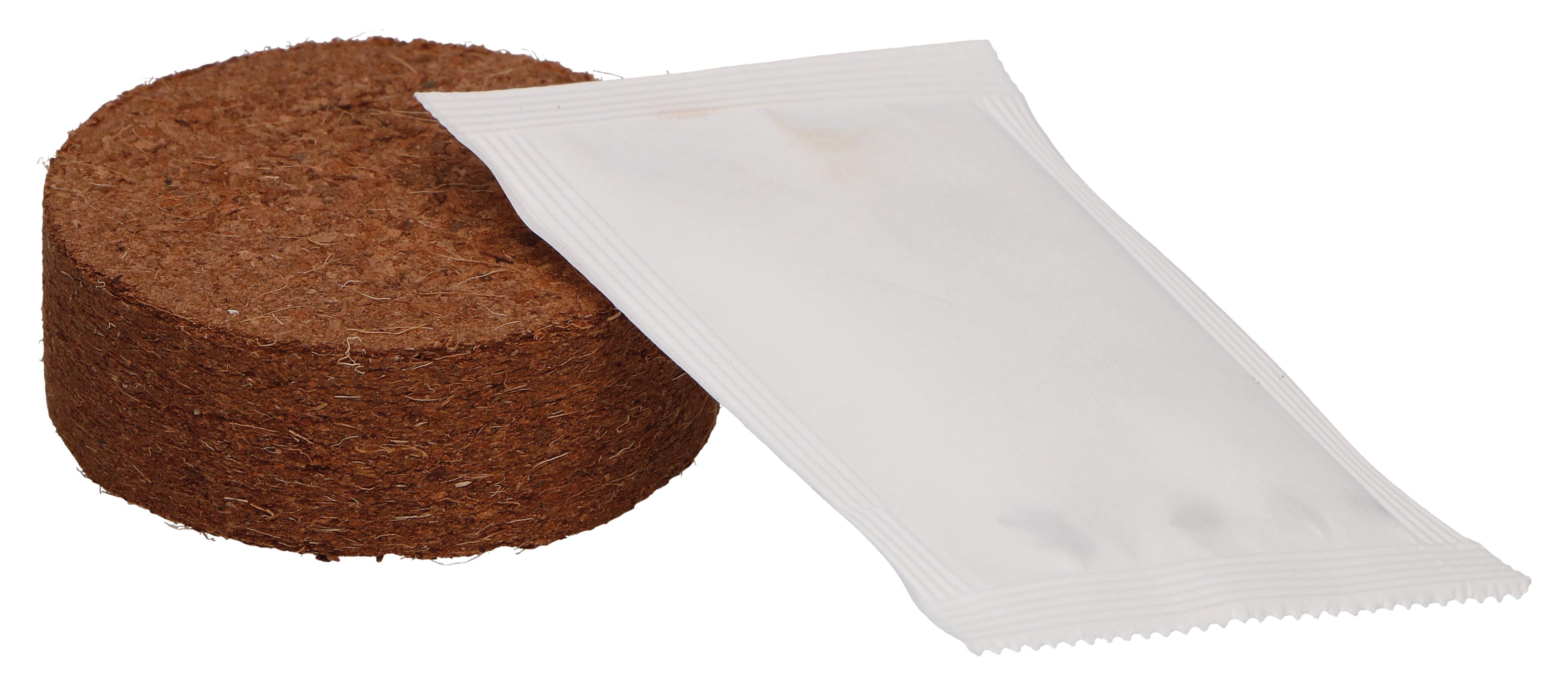 Planzset - Dein Klimabaum