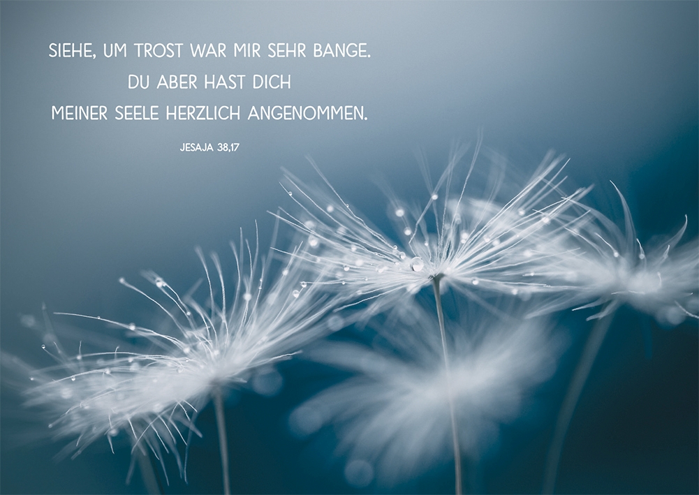 Trauerkarte - Siehe, um Trost war mir sehr bange... Trauerkarte - Siehe, um Trost war mir sehr bange...